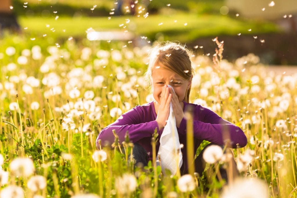A girl with children's allergies sneezes in a field of dandelions while seeking expert solutions.